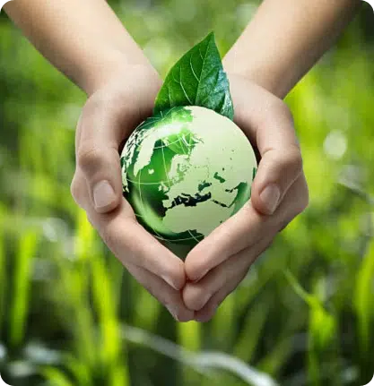 Produzione ecosostenibile