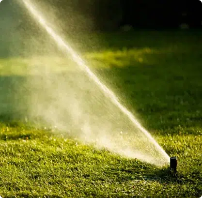 Soluzioni ecologiche per la conservazione dell'acqua e il manto erboso