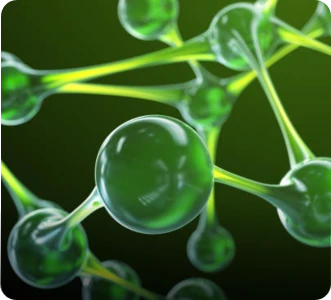 Uso esclusivo di polimeri ad alta molecolarità per una maggiore durata e riciclabilità