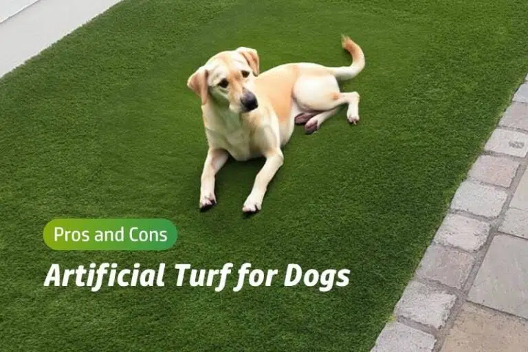 artificial turf for dogs