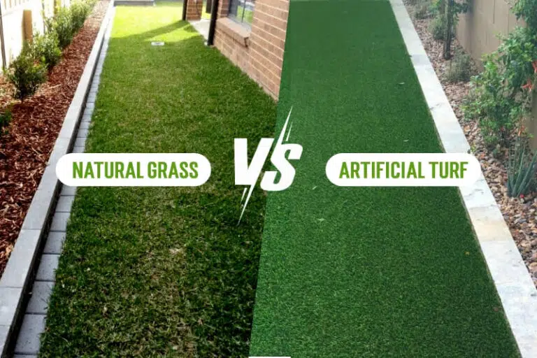 artificial turf vs natural grass