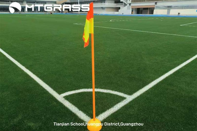 fifa voetbalgras