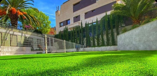 front backyard lawns