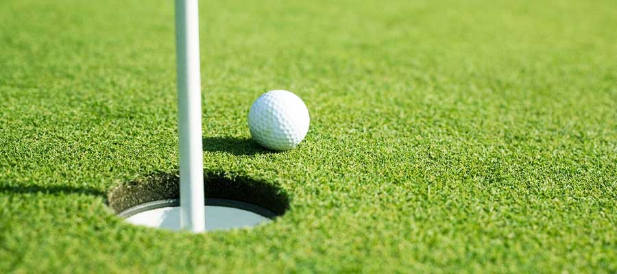 gazon artificiel greens de golf