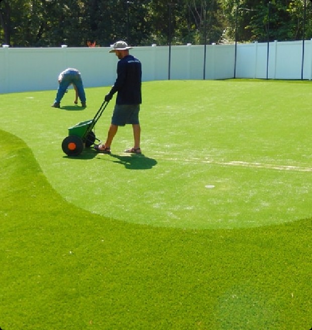 putting green grass