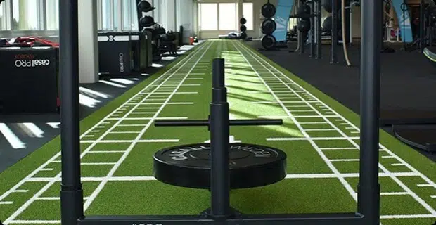 gym turf 399