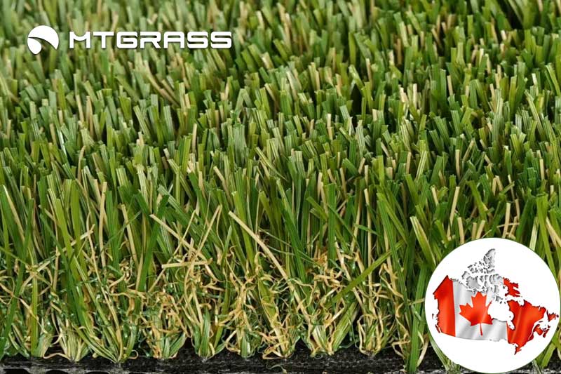 artificial grass canada