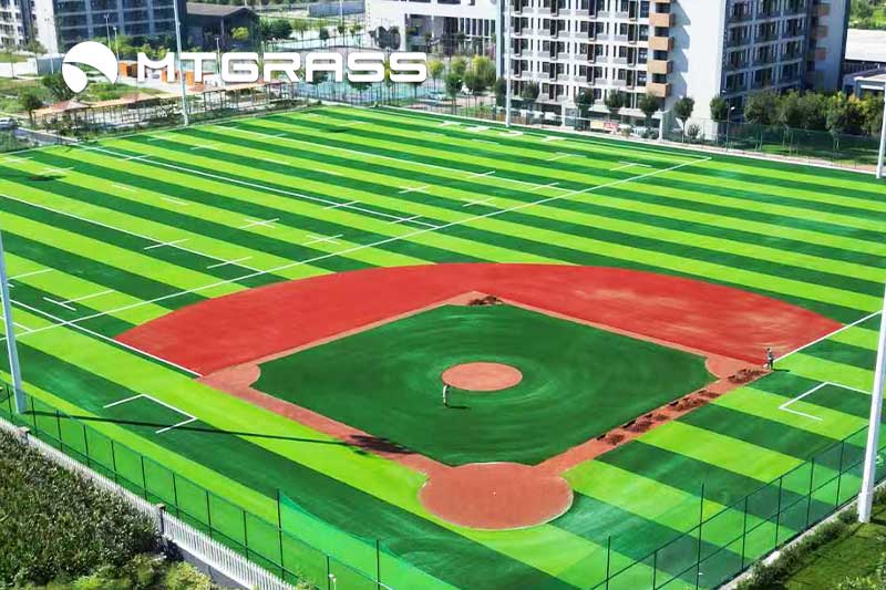 shandong baseball field