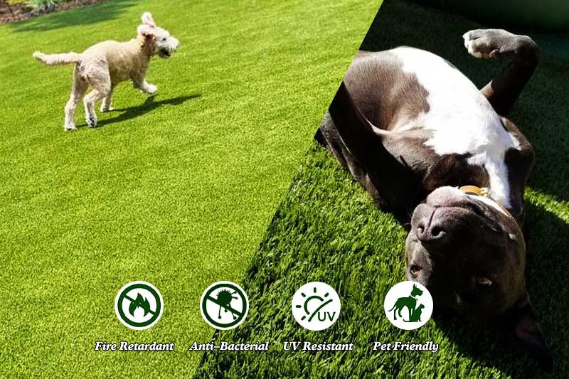 pet safe artificial grass