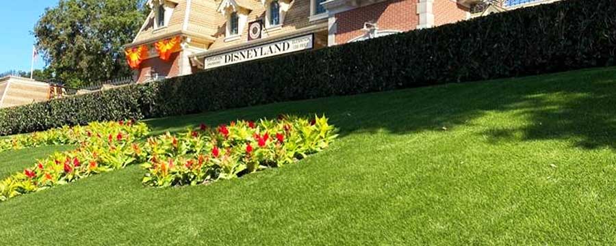 disney artificial grass