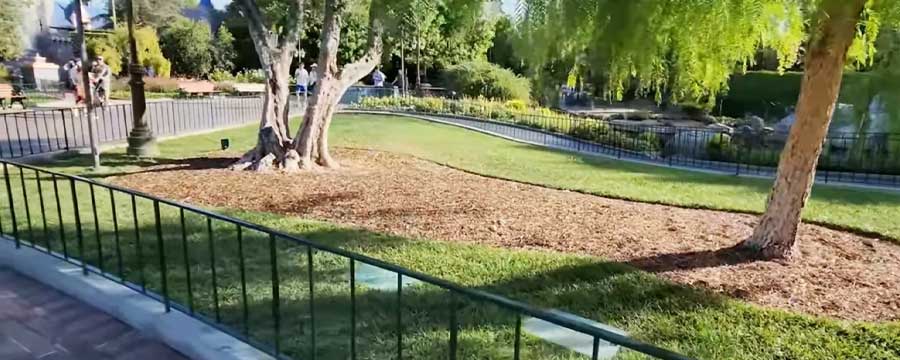 disney artificial turf