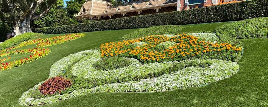 disney mickey artificial grass