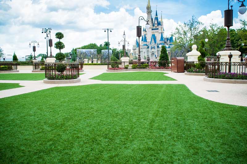 disney theme park artificial grass