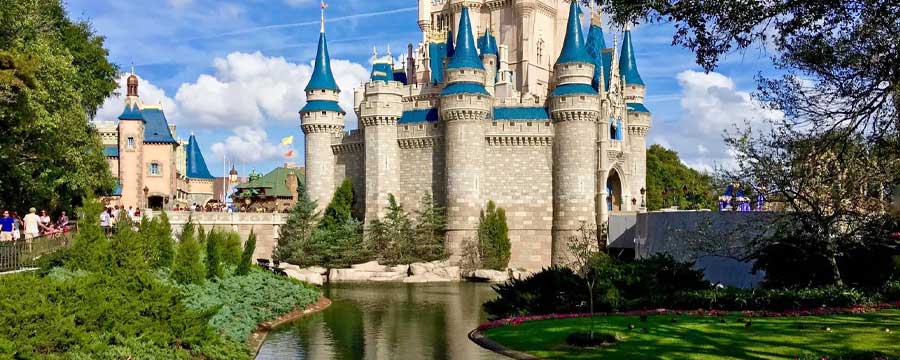 walt disney artificial turf