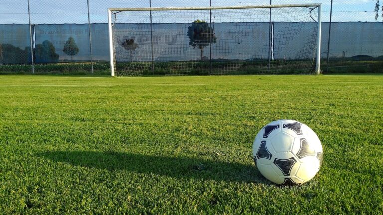 2026 FIFA World Cup & Football Artificial Grass: What Every Stadium Needs to Know