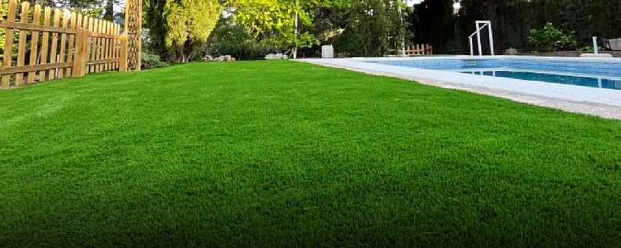 australian artificial lawns for pool