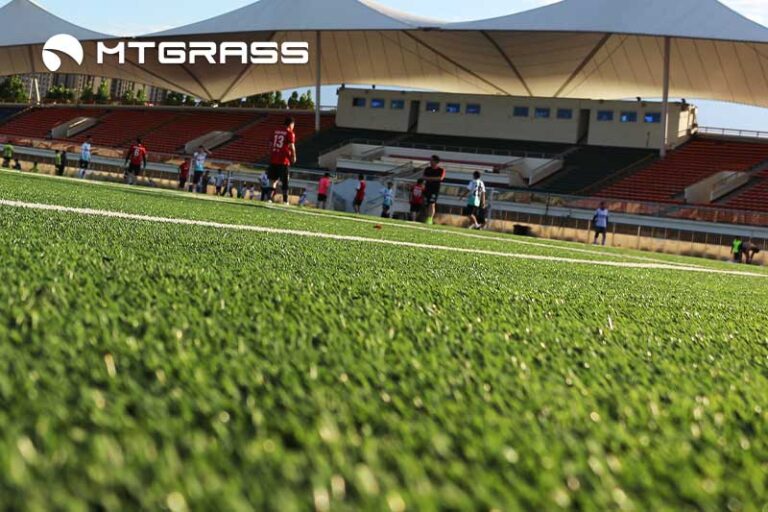 fifa football turf
