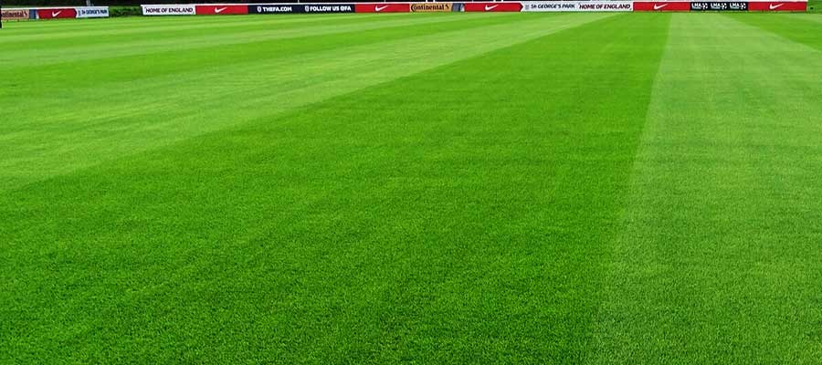 natural grass for football field