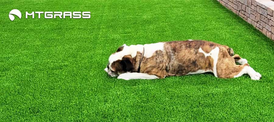 artificial grass for dogs in perth