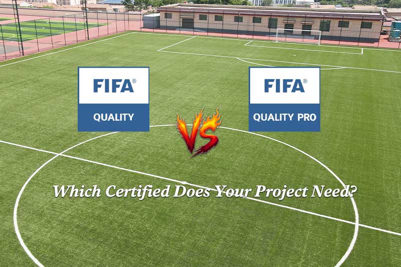 fifa quality vs fifa quality pro
