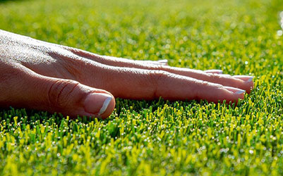 artificial grass sample mt